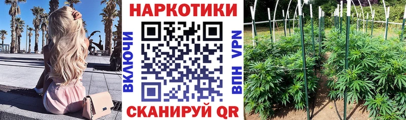 Купить закладку APVP  Амфетамин  Метадон  Конопля  Кокаин  Меф мяу мяу  ГАШ  Балашов