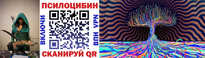 Купить где  Балашов  Галлюциногенные грибы Psilocybe 